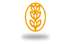 ERP Obradores